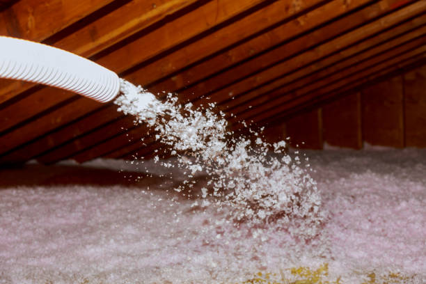 Best Types of Insulation in Bruceton, TN